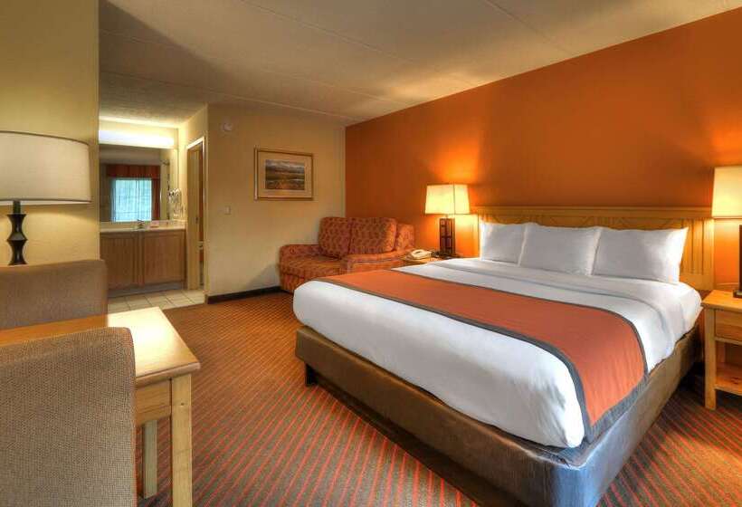 فندق Econo Lodge Pigeon Forge Riverside