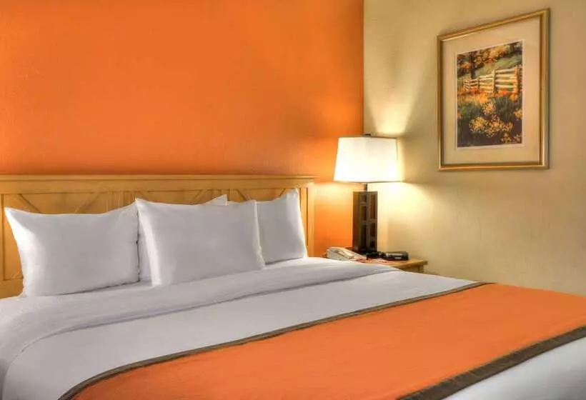 호텔 Econo Lodge Pigeon Forge Riverside