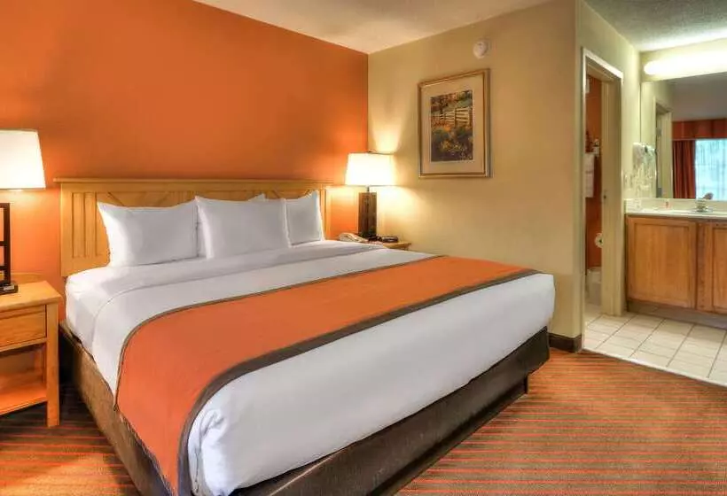 호텔 Econo Lodge Pigeon Forge Riverside