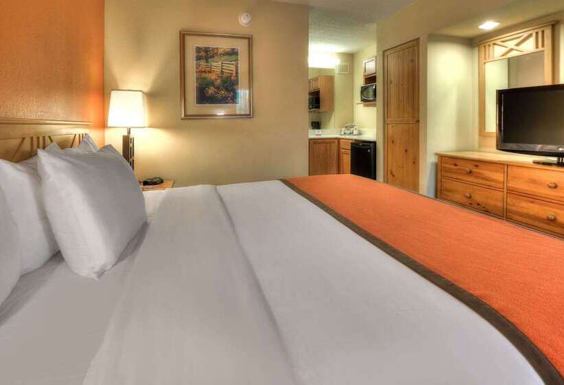 فندق Econo Lodge Pigeon Forge Riverside
