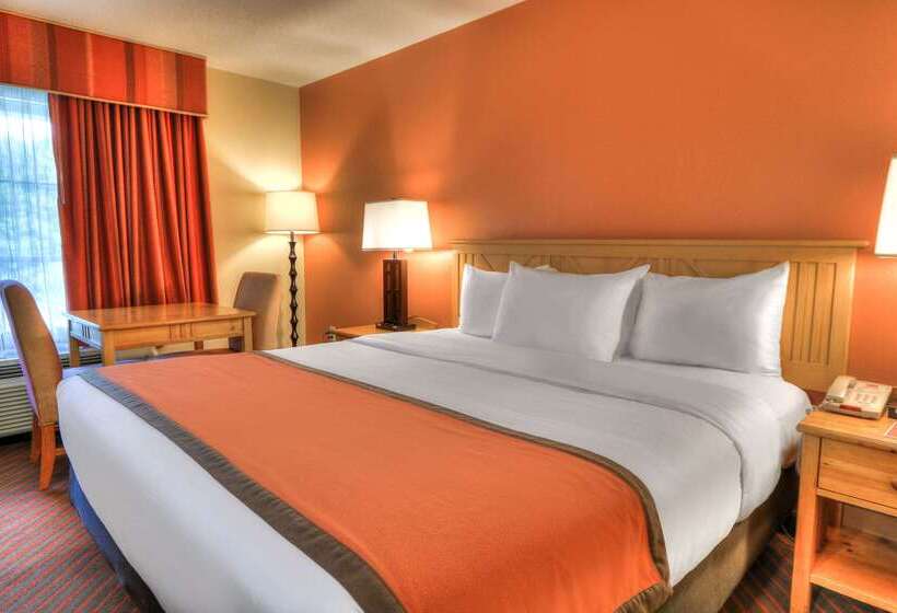 فندق Econo Lodge Pigeon Forge Riverside