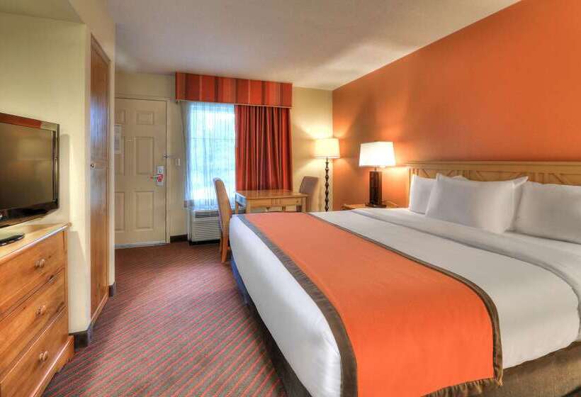 فندق Econo Lodge Pigeon Forge Riverside
