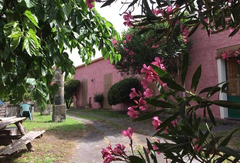 Codavolpe Giardino Di Tea