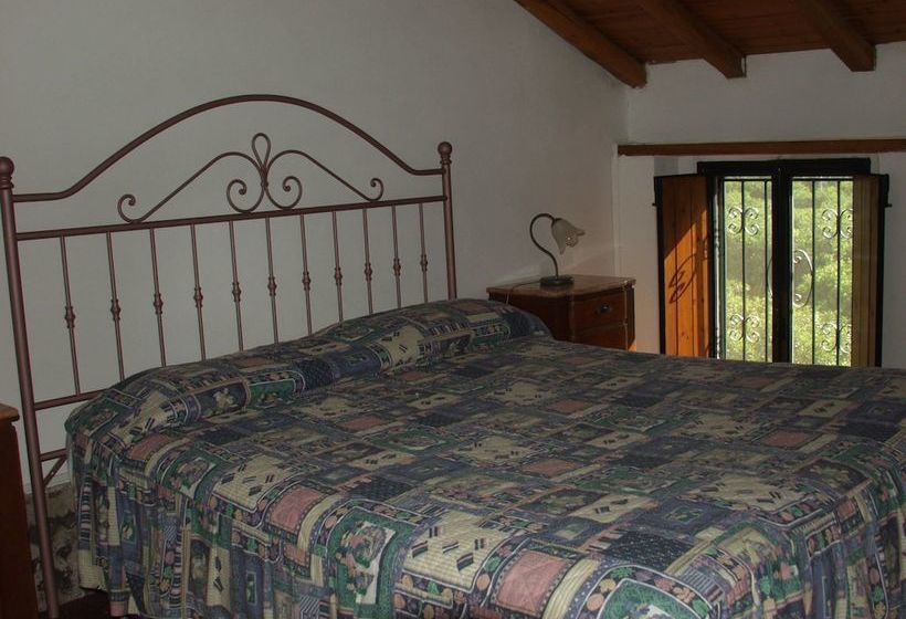 Codavolpe Giardino Di Tea