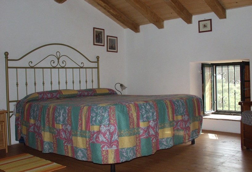 Codavolpe Giardino Di Tea