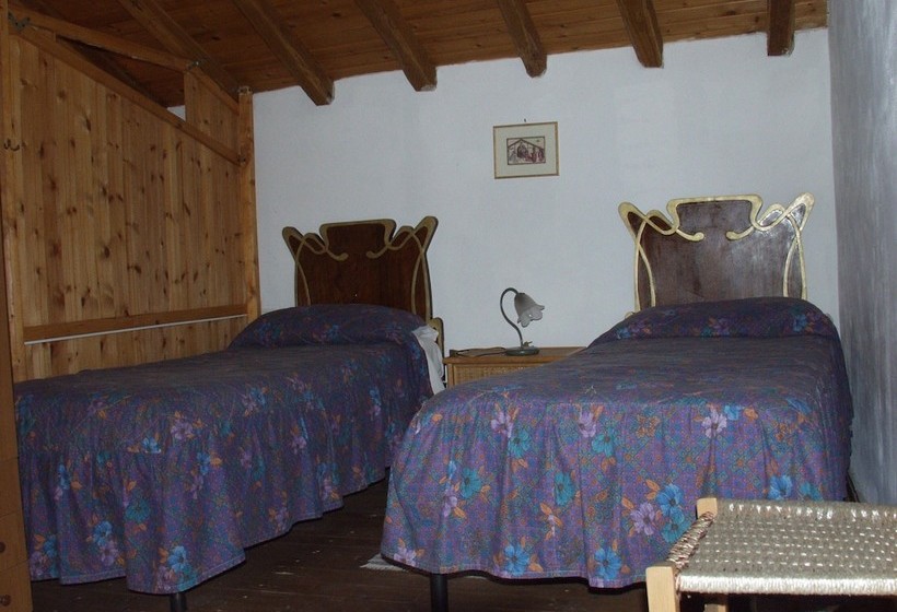 Codavolpe Giardino Di Tea