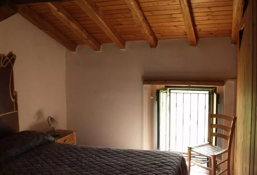 Codavolpe Giardino Di Tea