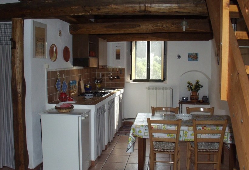 Codavolpe Giardino Di Tea