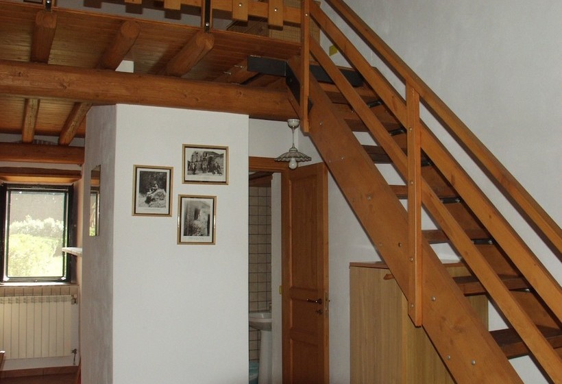 Codavolpe Giardino Di Tea