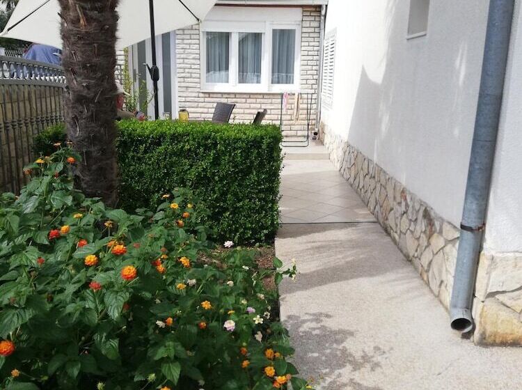 پانسیون Guest House Micin