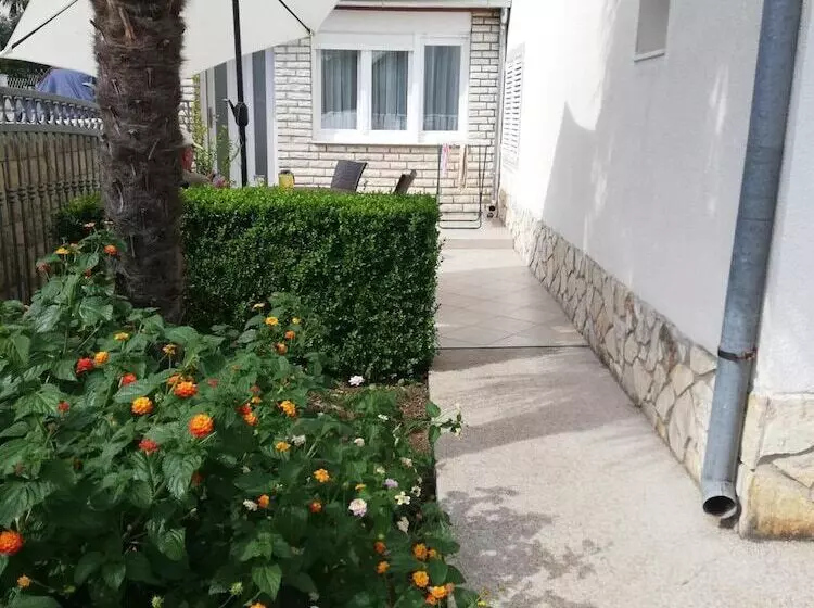 پانسیون Guest House Micin