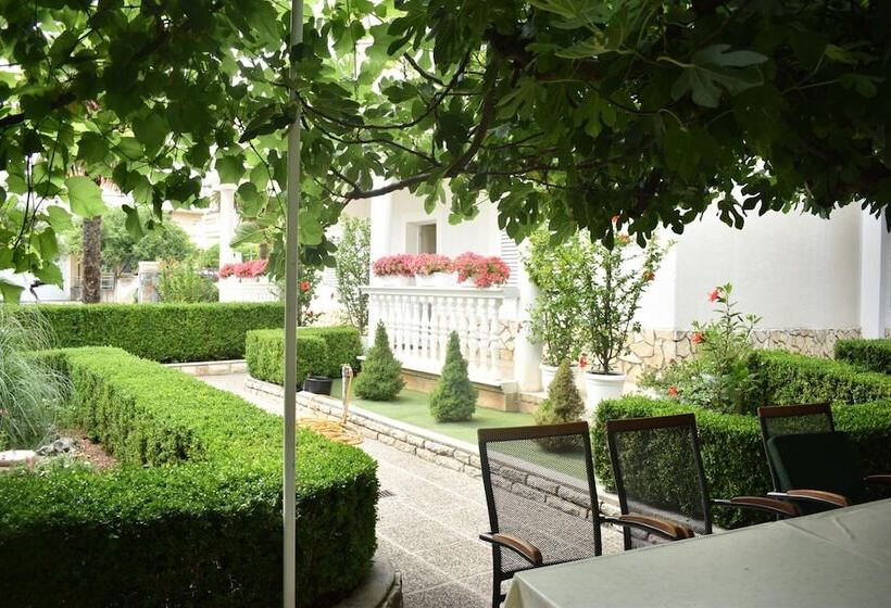 پانسیون Guest House Micin