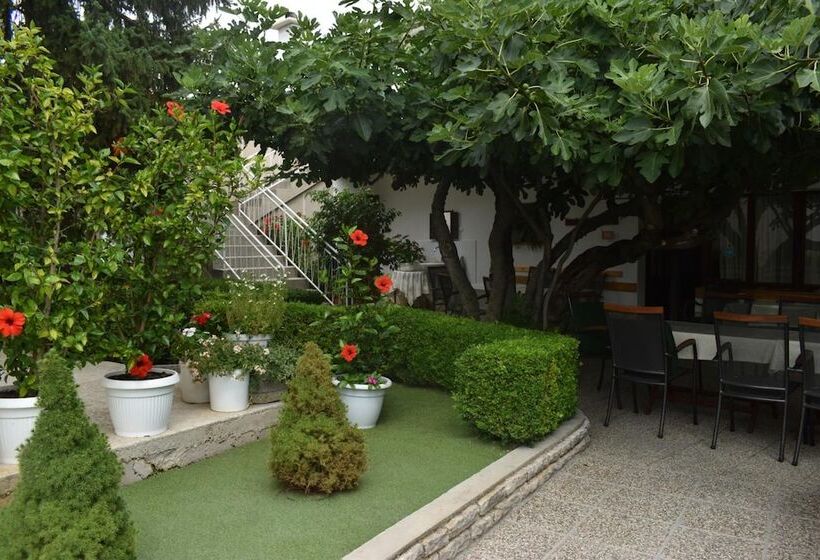 پانسیون Guest House Micin