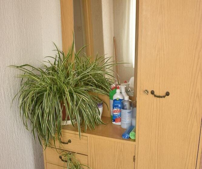 پانسیون Guest House Micin