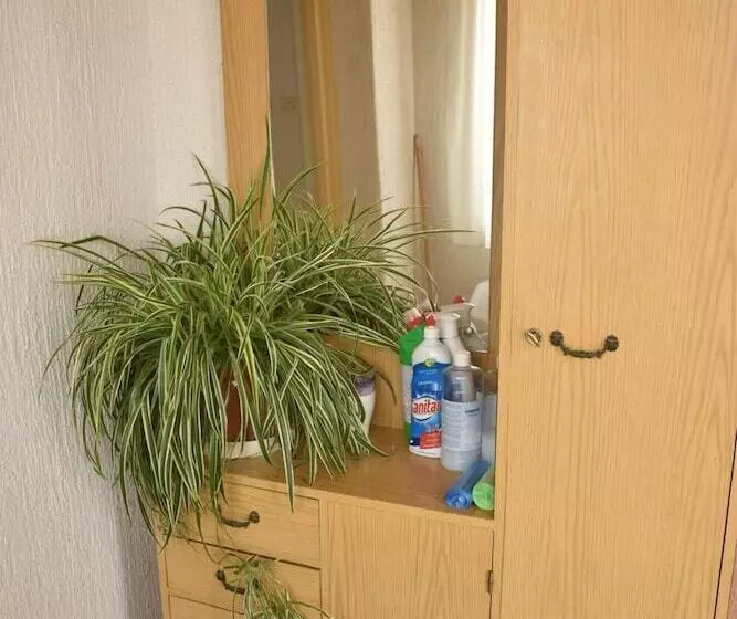 پانسیون Guest House Micin