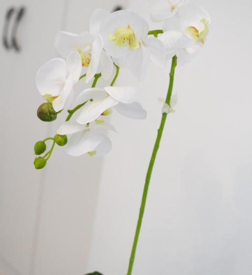 Pensionat The Stables, Beaulieu Kyalami