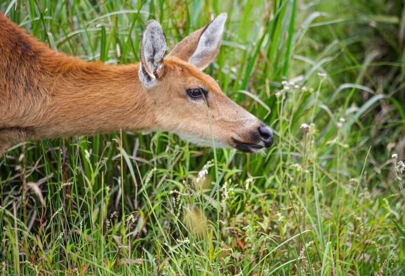 El Tránsito Hotel Boutique