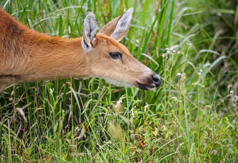 El Tránsito Hotel Boutique