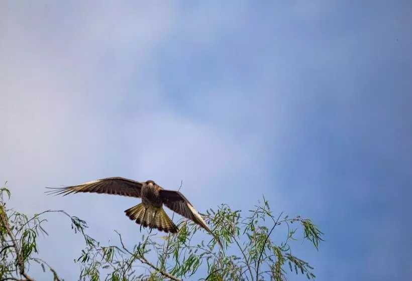 El Tránsito Hotel Boutique