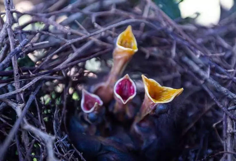 El Tránsito Hotel Boutique