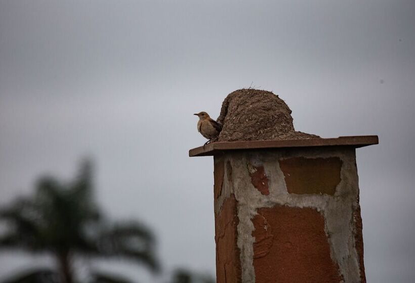 El Tránsito Hotel Boutique