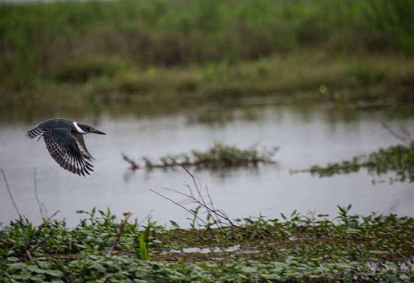 El Tránsito Hotel Boutique