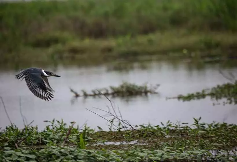 El Tránsito Hotel Boutique