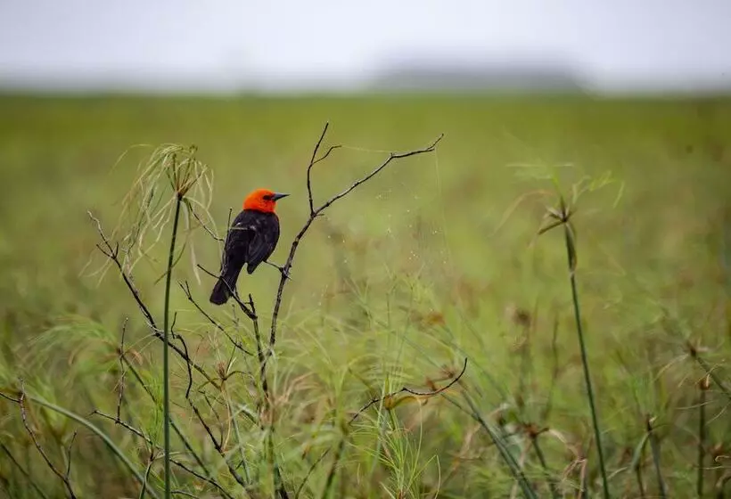 El Tránsito Hotel Boutique
