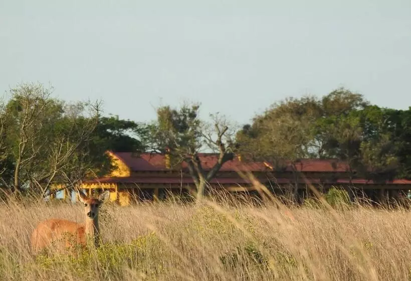 El Tránsito Hotel Boutique