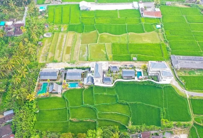 Lomakeskus Abian Taksu Suite & Villas