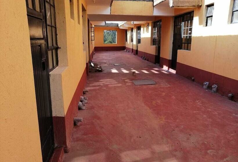 Three Rey Hostels   Hostel