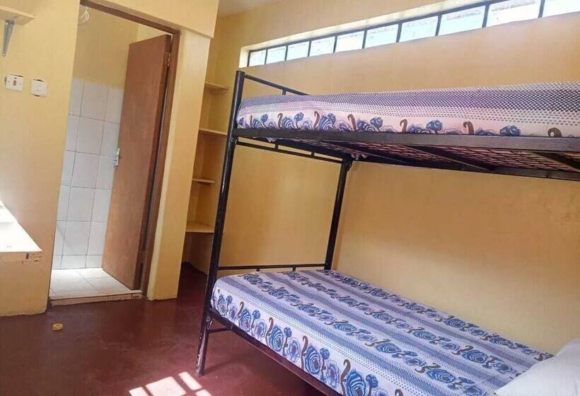 Three Rey Hostels   Hostel