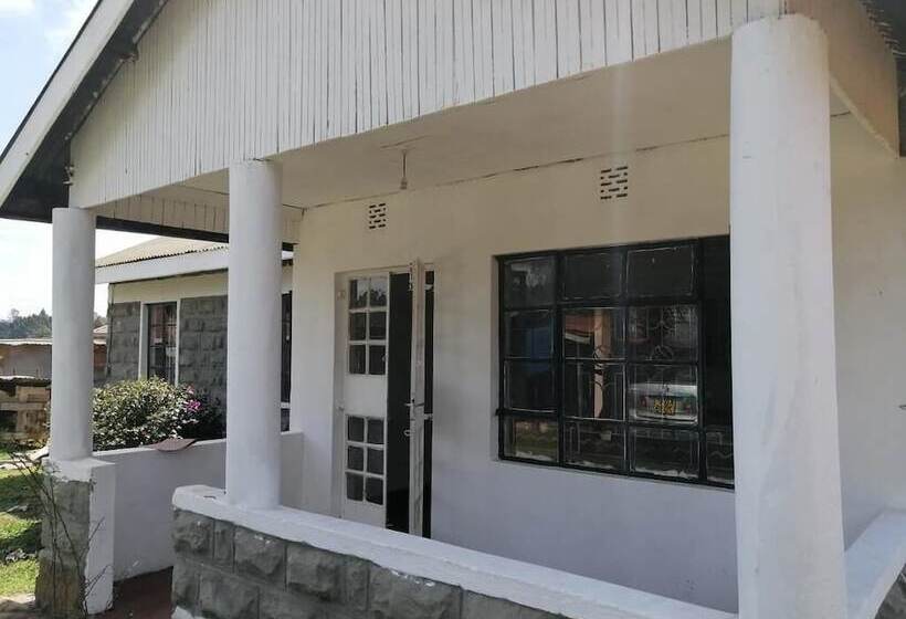 Three Rey Hostels   Hostel