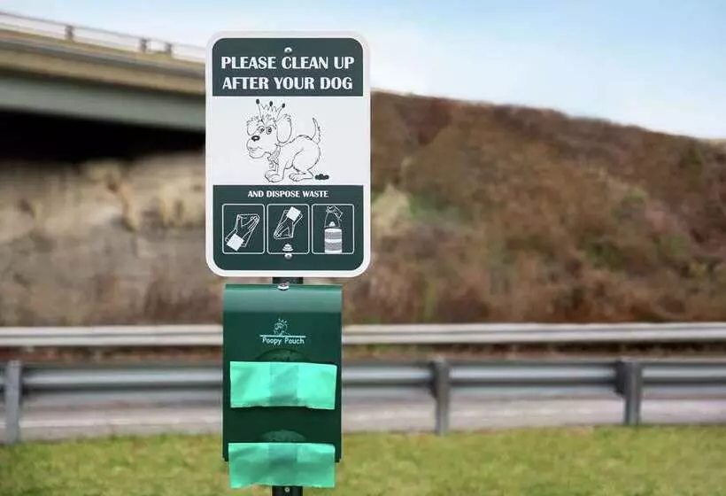 Hotelli Home2 Suites By Hilton Ridley Park Philadelphia Airport South