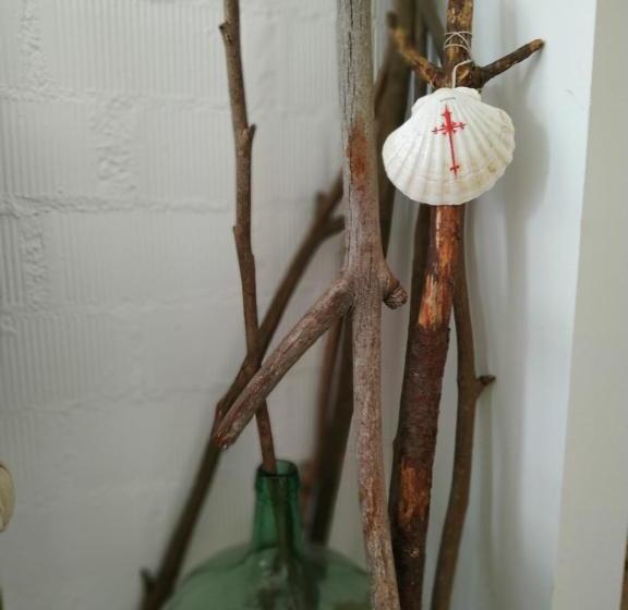 Albergue Nacama Hostel Pontevedra Exclusivo Peregrinos Pilgrims