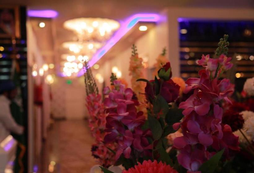 تختخواب و صبحانه Sinteria