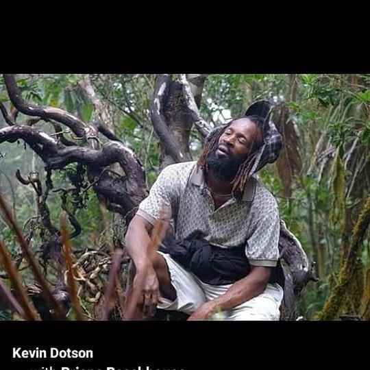 Bed and Breakfast Port Antonio Brian S Beach House