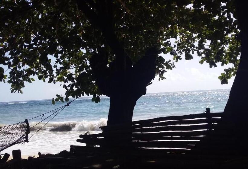 Bed and Breakfast Port Antonio Brian S Beach House