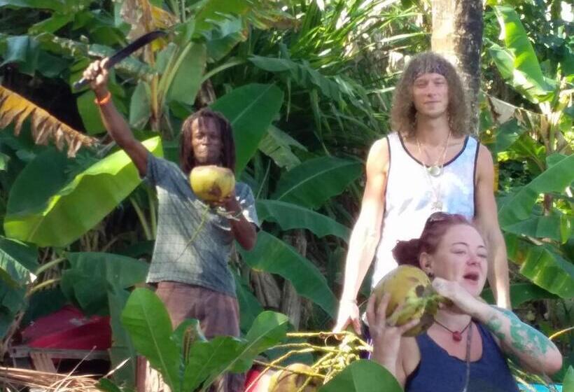 Bed and Breakfast Port Antonio Brian S Beach House