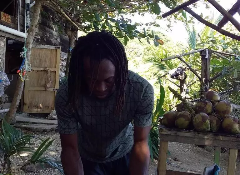 تختخواب و صبحانه Port Antonio Brian S Beach House