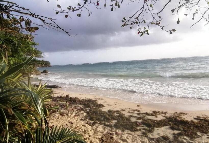 Bed and Breakfast Port Antonio Brian S Beach House