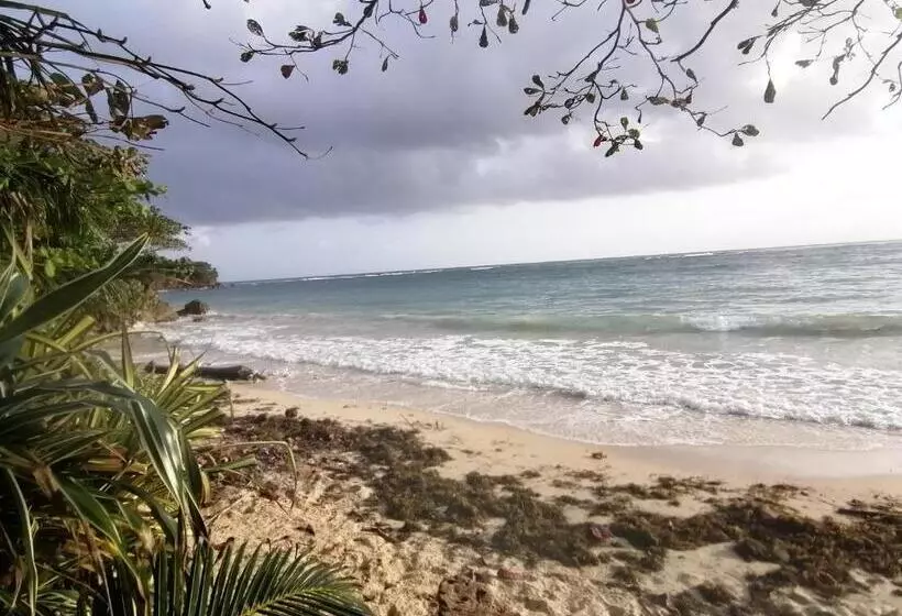 تختخواب و صبحانه Port Antonio Brian S Beach House