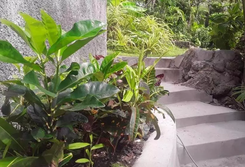 تختخواب و صبحانه Port Antonio Brian S Beach House