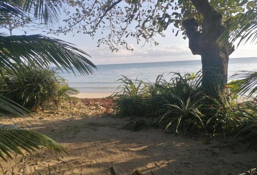 Bed and Breakfast Port Antonio Brian S Beach House