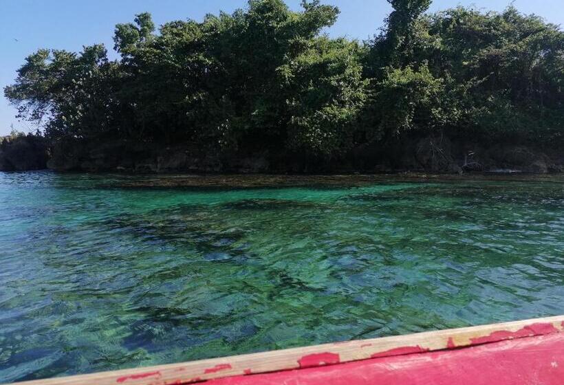 Bed and Breakfast Port Antonio Brian S Beach House