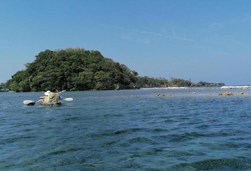 Bed and Breakfast Port Antonio Brian S Beach House