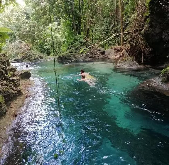 تختخواب و صبحانه Port Antonio Brian S Beach House