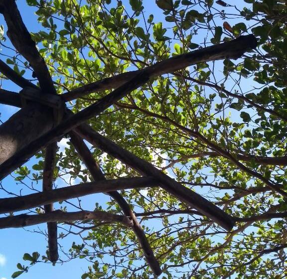 Bed and Breakfast Port Antonio Brian S Beach House