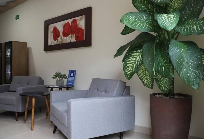 בית מלון כפרי Graal Inn Itatiaia