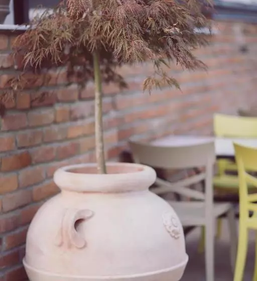 ホテル Villa Piazzetta